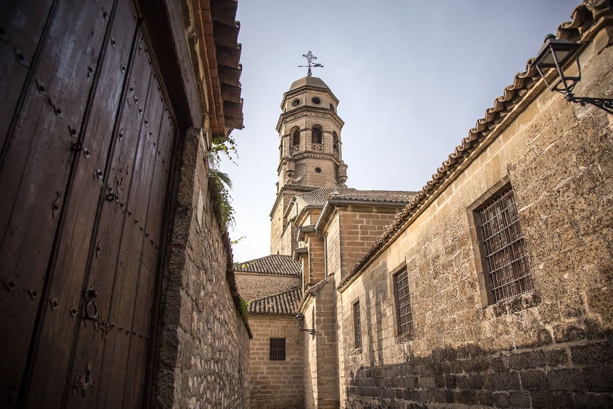 AOVEland & (Re)nacimiento