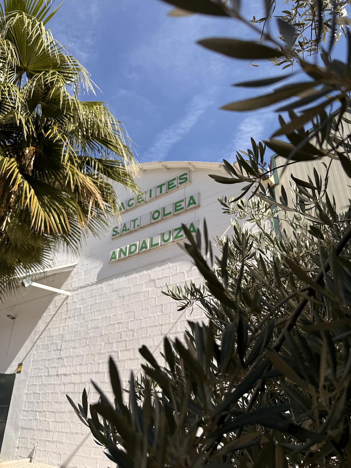 Visita guiada a la almazara Oleandaluza