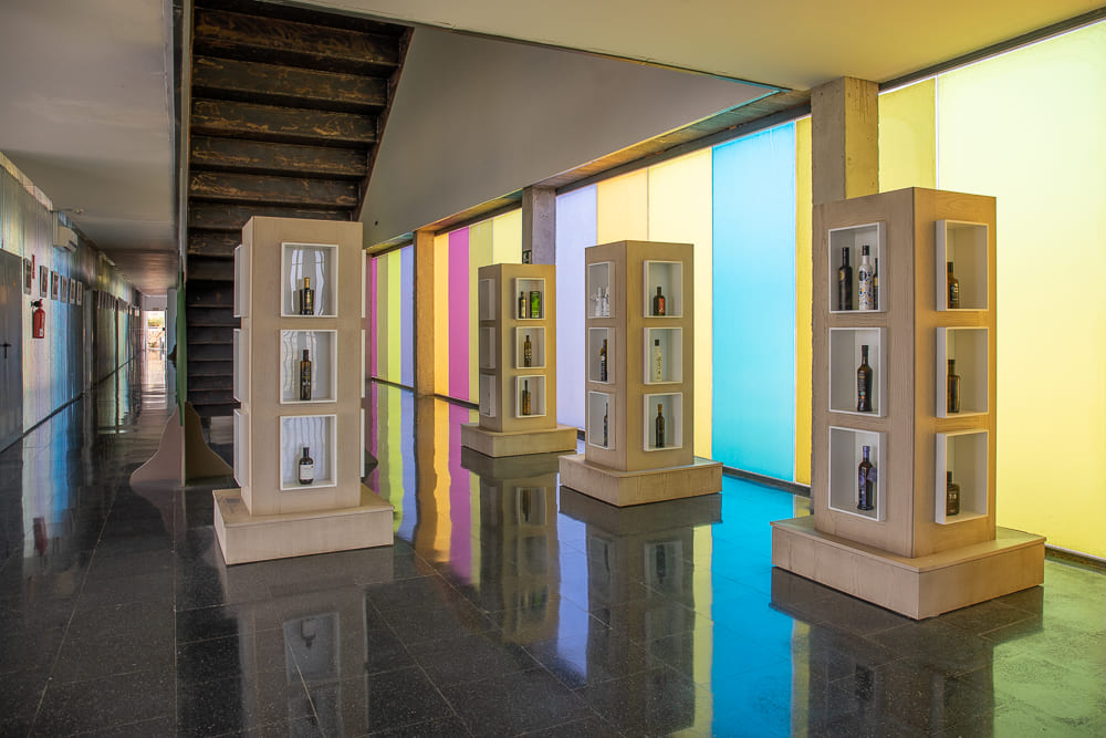 Visita guiada al centro de interpretación  del aceite de oliva virgen extra de Sierra  Mágina y catas-maridaje de aceites
