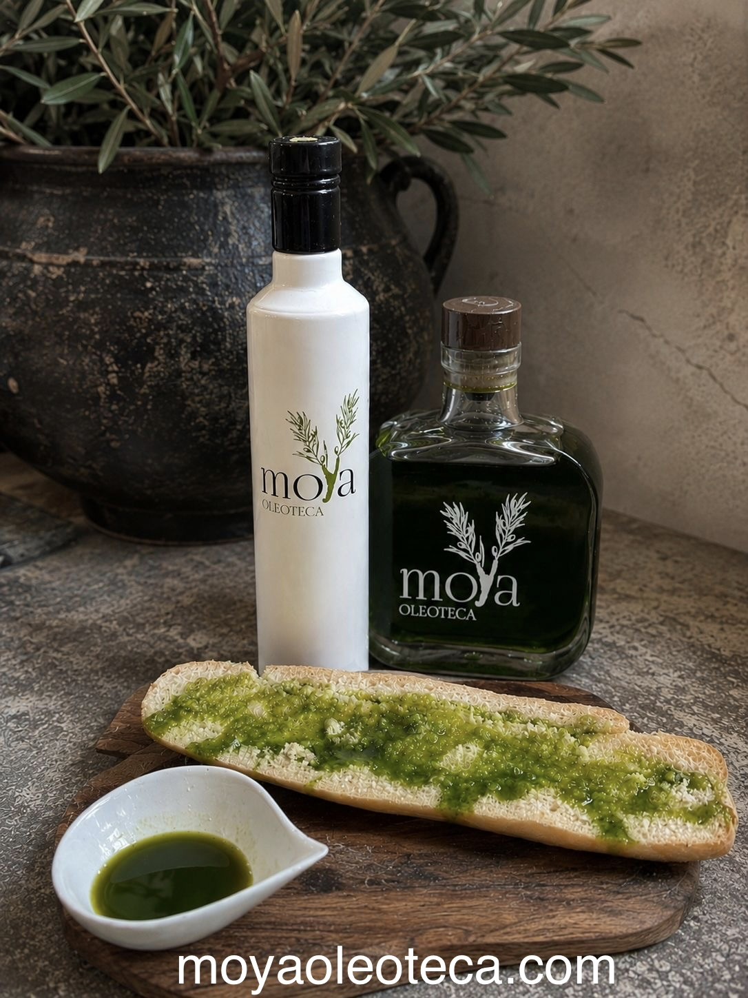 Cata & Degustación de aceite de  oliva virgen extra