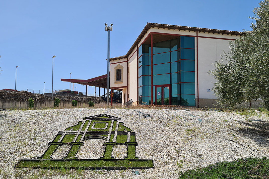 Aprende y saborea el aceite: visita escolar a la almazara