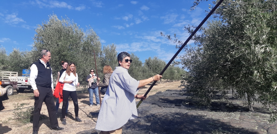 Oleoturismo ‘Hacienda La Laguna’  + Visita Guiada al Museo + Taller  de Iniciación a la Cata de Aceites