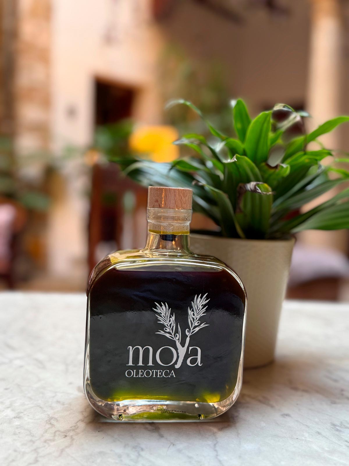 Cata de Aceite