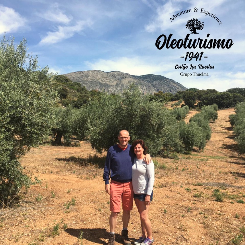 Descubre una cultura milenaria - Oleoexperiencia PREMIUM
