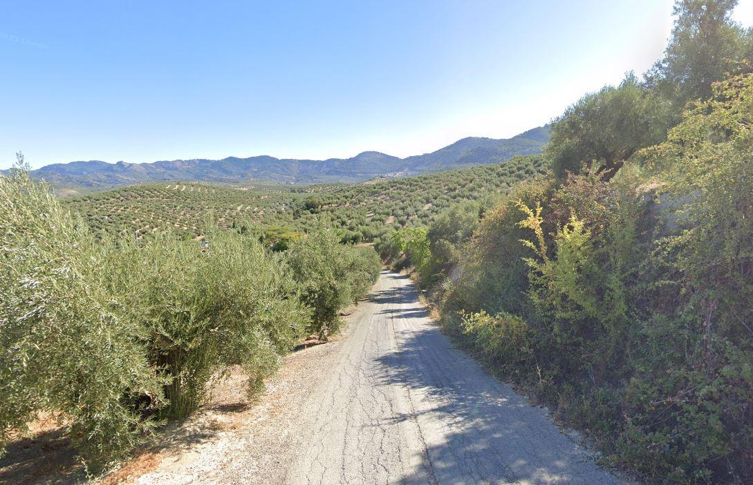 Ruta Cazorla - Acebuche de las Hoyas