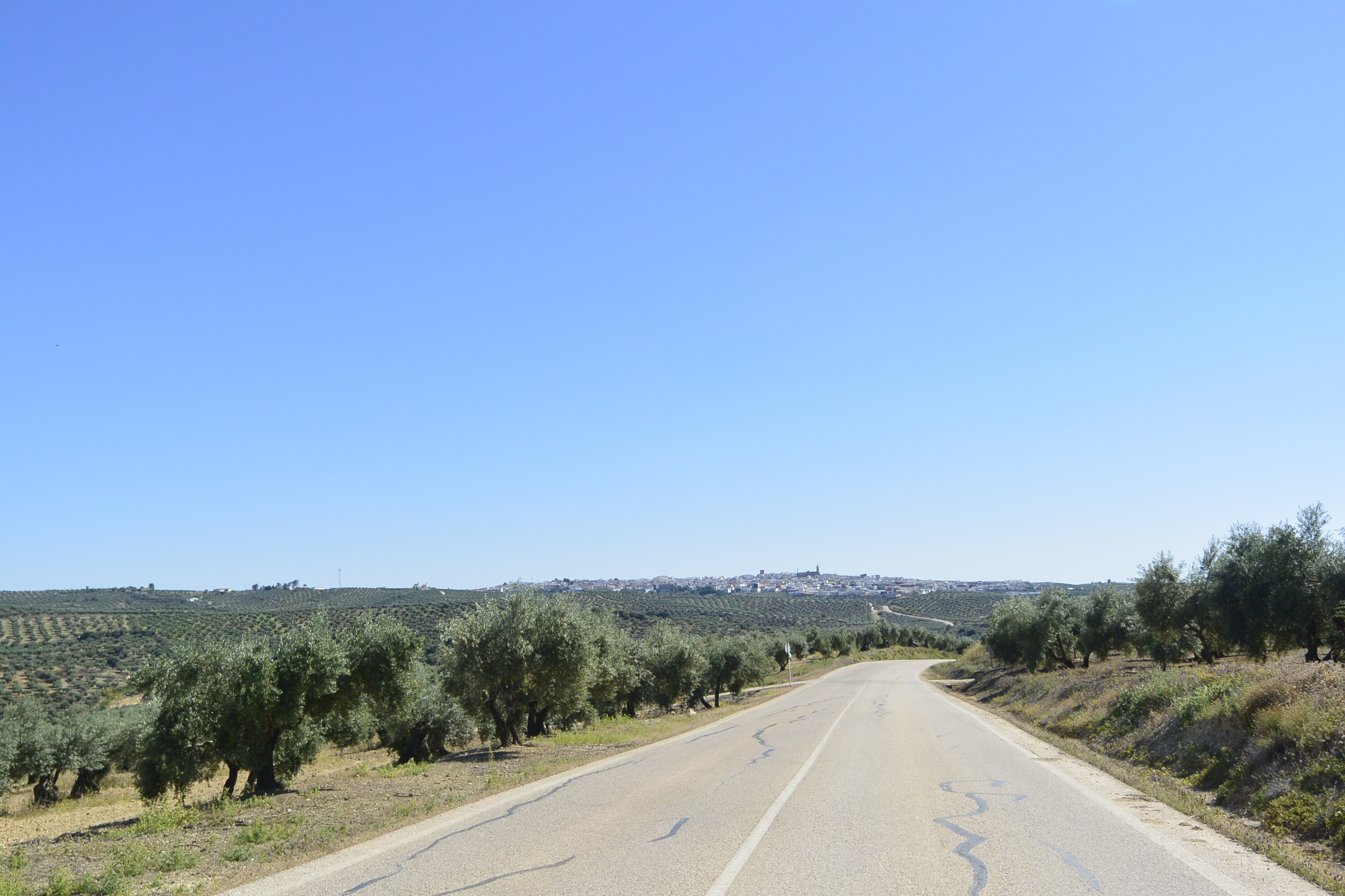 JV-4401 De Porcuna a Arjonilla. “El tapiz infinito de los olivares”
