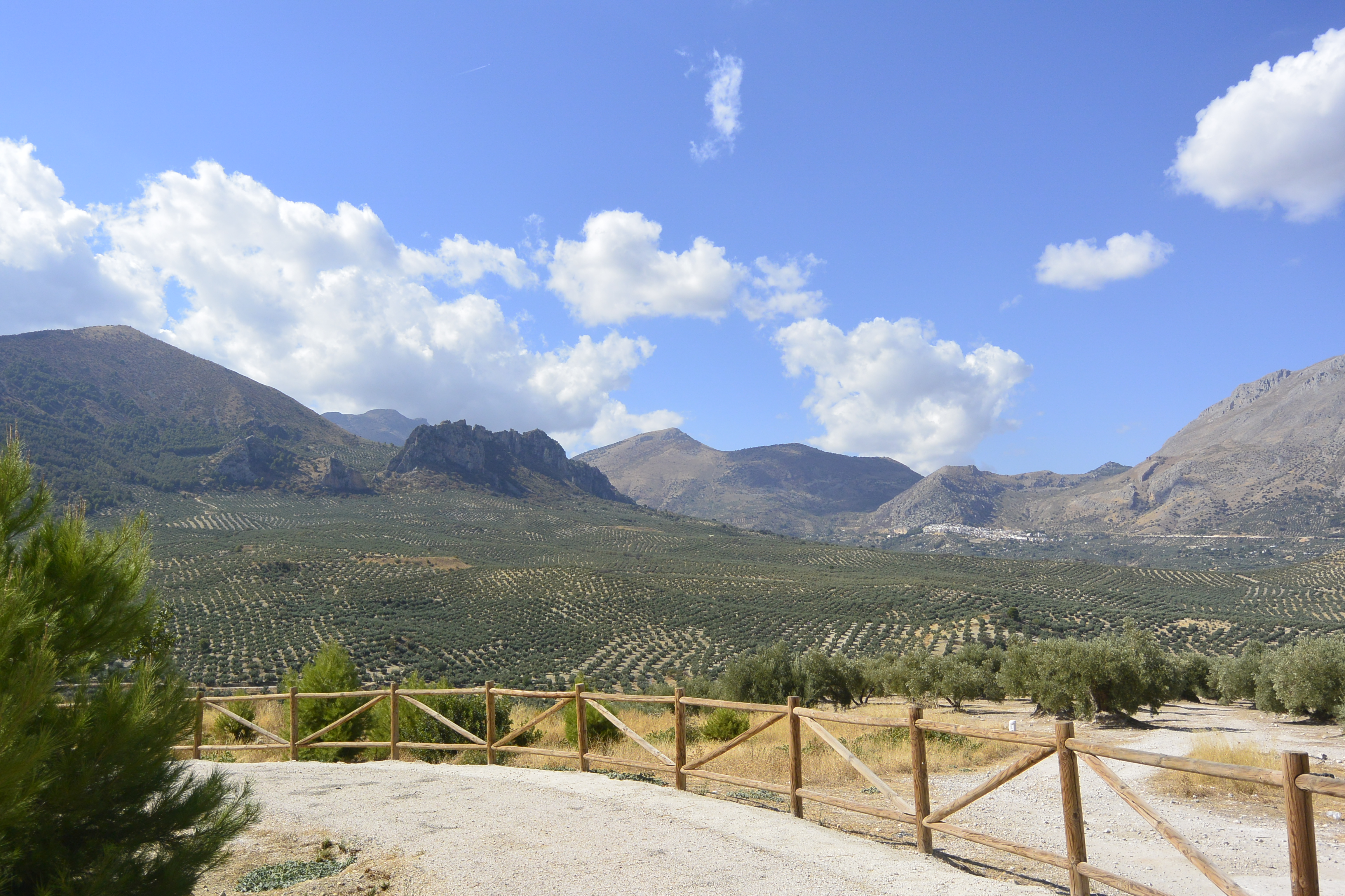 Mirador de Albanchez