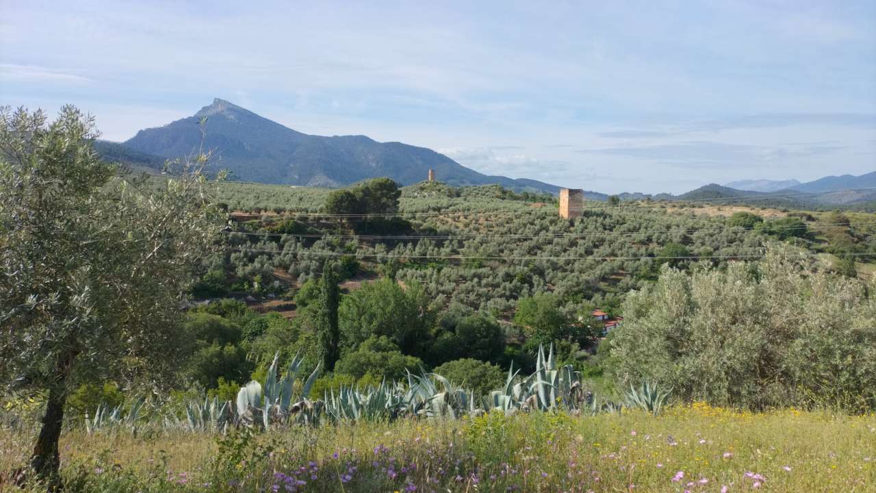 Torres de Santa Catalina de Orcera