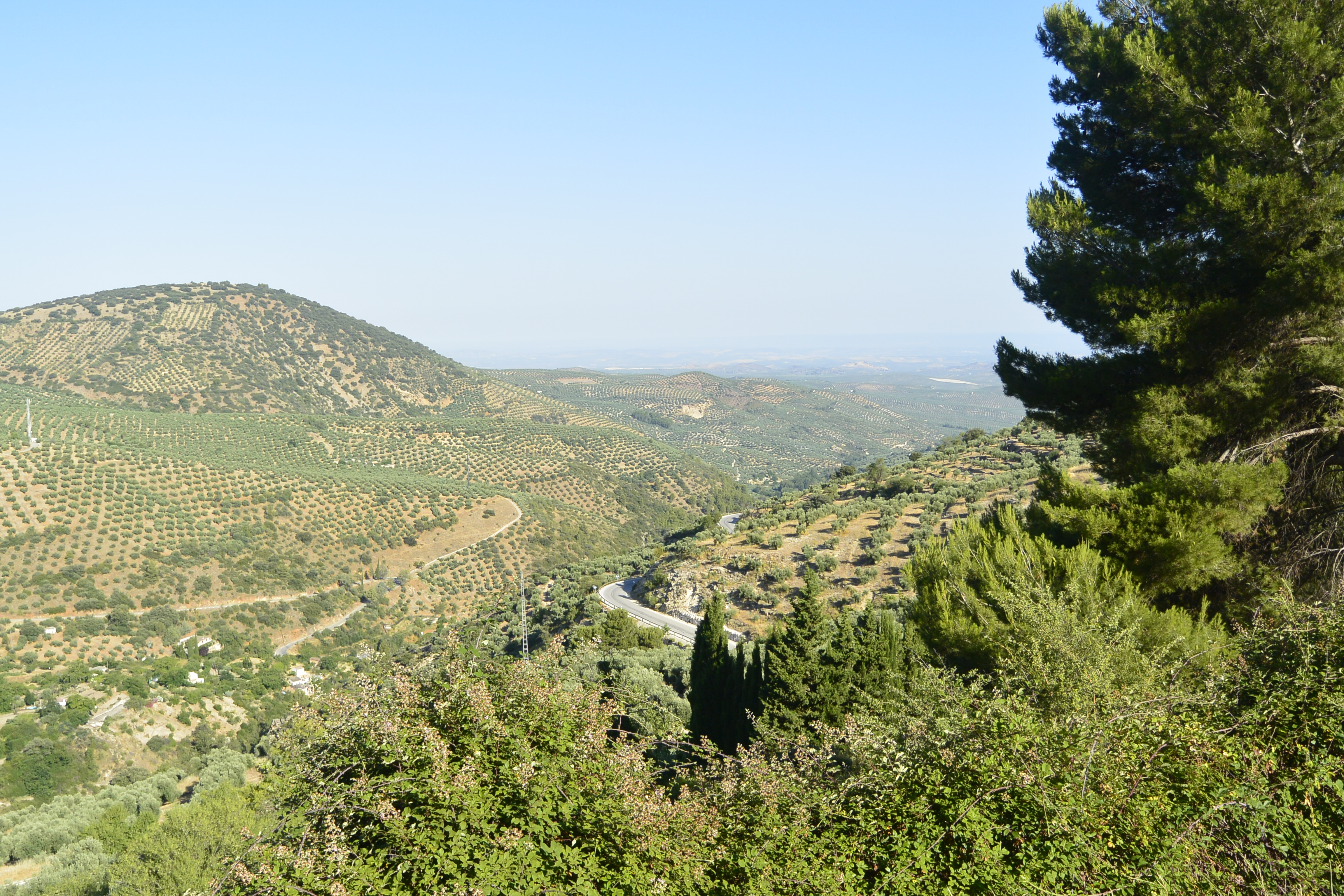 JA-3107 De Torres a Albanchez de Mágina. “Olivares bajo las cumbres de Mágina”