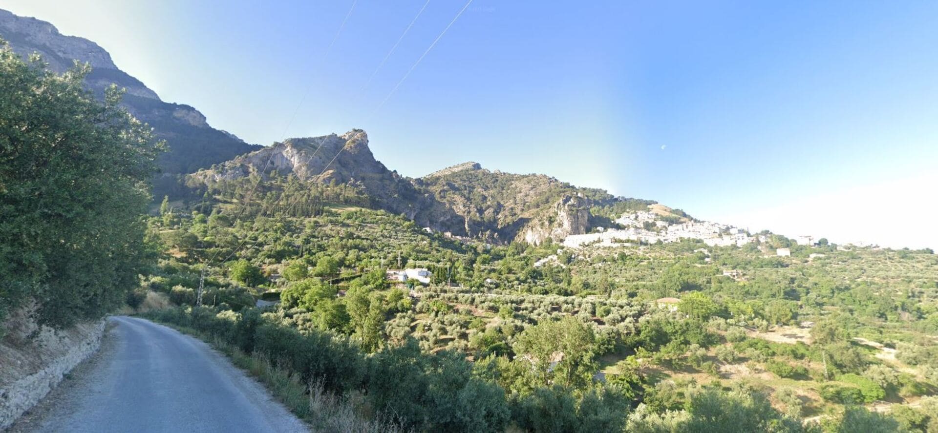 Sendero Olivo Milenario Acebuche de las Hoyas La Iruela-Cazorla